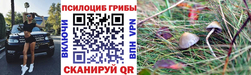 Галлюциногенные грибы MAGIC MUSHROOMS  Купить  Зеленодольск 